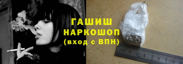 гашик Тайга