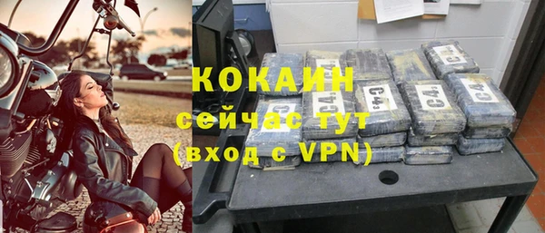 кокс Дмитриев