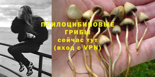 эйфоретик Дмитров