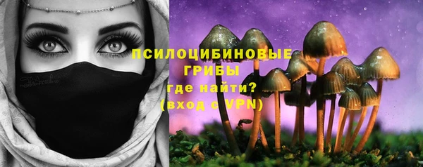 эйфоретик Дмитров